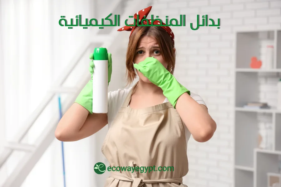 بدائل إيكوواي الصحية